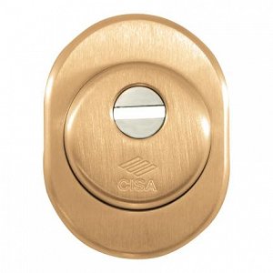 Defender για θωρακισμένες πόρτες CISA 06490