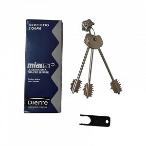 Συνδυασμός Θωρακισμένης Πόρτας Dierre Atra (Nucleo)